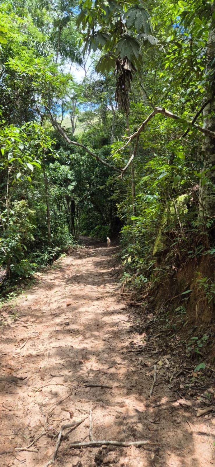 Pousada Rural E Pesqueiro Chale Da Serra Conceição da Ibitipoca 외부 사진
